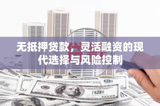 临西无抵押贷款，灵活融资的现代选择与风险控制