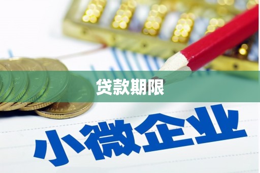 临西贷款期限