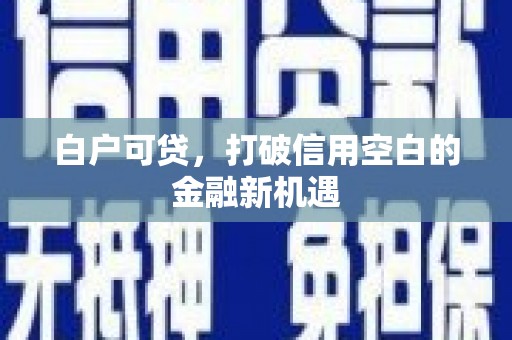 临西白户可贷，打破信用空白的金融新机遇