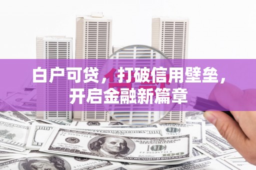 临西白户可贷，打破信用壁垒，开启金融新篇章
