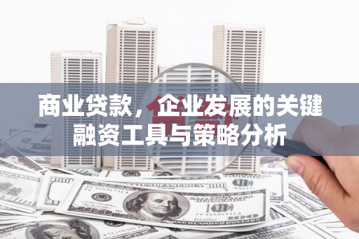 临西商业贷款，企业发展的关键融资工具与策略分析