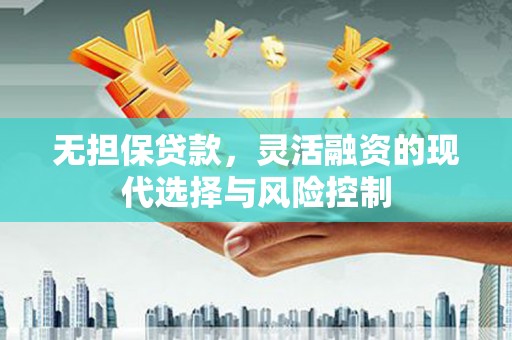 临西无担保贷款，灵活融资的现代选择与风险控制