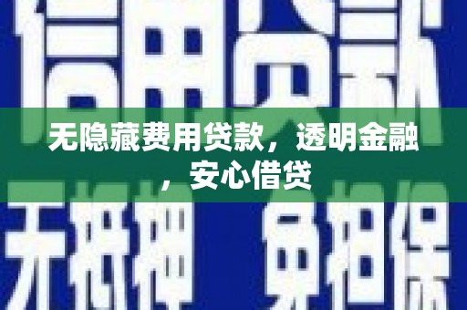 临西无隐藏费用贷款，透明金融，安心借贷