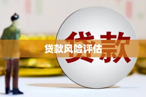 临西贷款风险评估