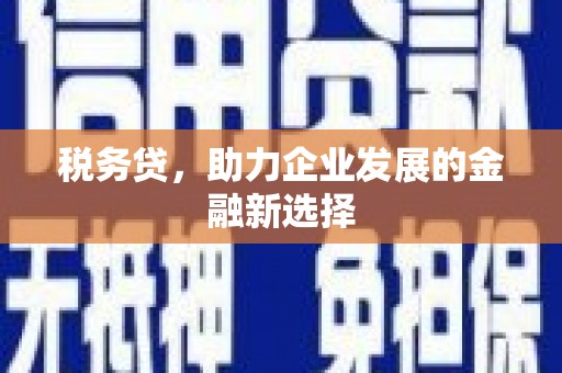 临西税务贷，助力企业发展的金融新选择