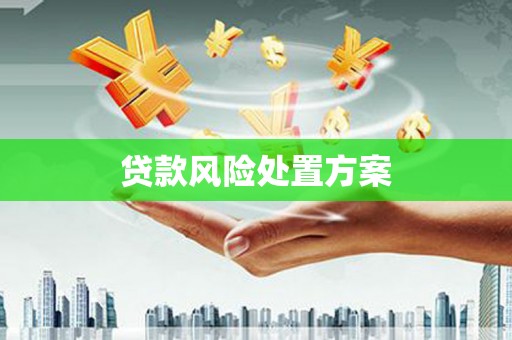 临西贷款风险处置方案