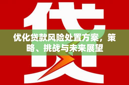 临西优化贷款风险处置方案，策略、挑战与未来展望