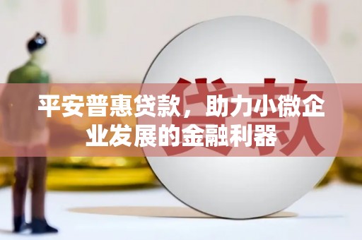 临西平安普惠贷款，助力小微企业发展的金融利器