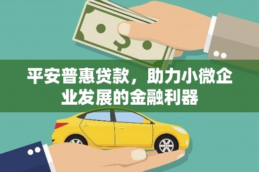 临西平安普惠贷款，助力小微企业发展的金融利器