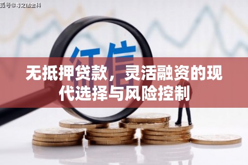 临西无抵押贷款，灵活融资的现代选择与风险控制
