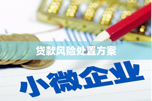 临西贷款风险处置方案