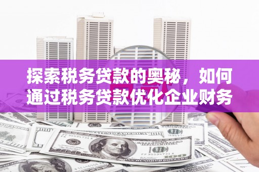 临西探索税务贷款的奥秘，如何通过税务贷款优化企业财务