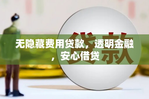 临西无隐藏费用贷款，透明金融，安心借贷