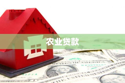 临西农业贷款