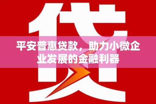 临西平安普惠贷款，助力小微企业发展的金融利器
