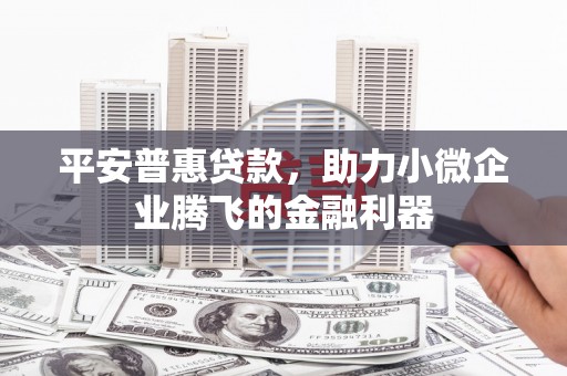 临西平安普惠贷款，助力小微企业腾飞的金融利器