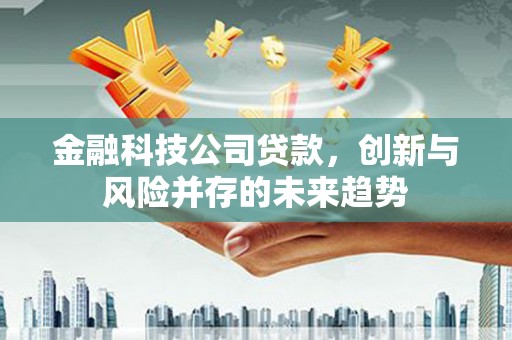 临西金融科技公司贷款，创新与风险并存的未来趋势