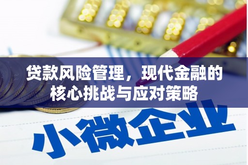 临西贷款风险管理，现代金融的核心挑战与应对策略