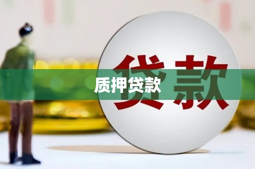 临西质押贷款