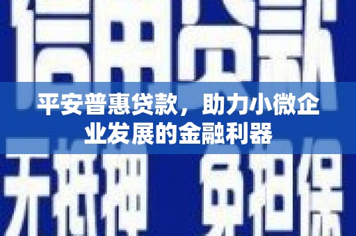 临西平安普惠贷款，助力小微企业发展的金融利器