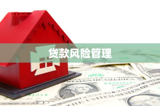 临西贷款风险管理