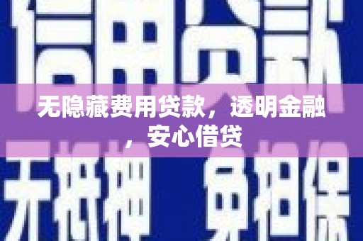 临西无隐藏费用贷款，透明金融，安心借贷