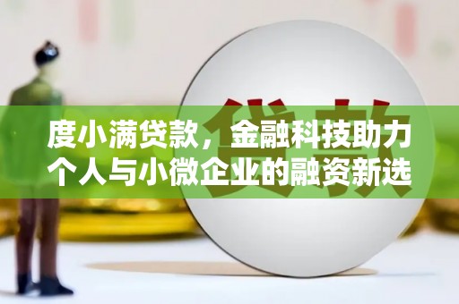 临西度小满贷款，金融科技助力个人与小微企业的融资新选择