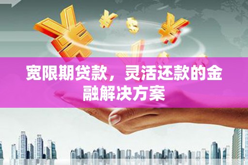 临西宽限期贷款，灵活还款的金融解决方案