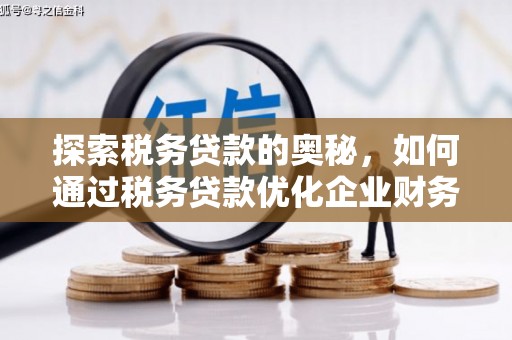 临西探索税务贷款的奥秘，如何通过税务贷款优化企业财务
