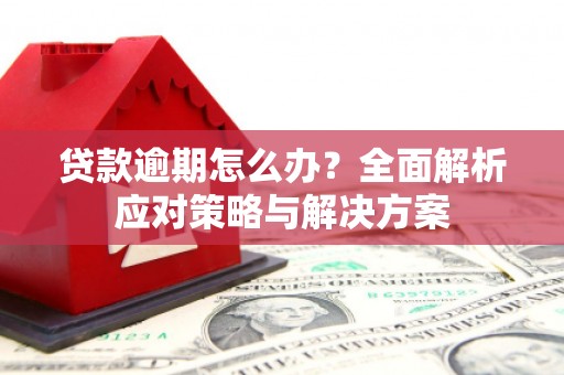 临西贷款逾期怎么办？全面解析应对策略与解决方案