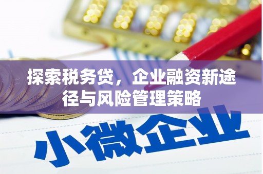临西探索税务贷，企业融资新途径与风险管理策略