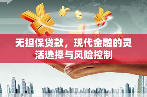 临西无担保贷款，现代金融的灵活选择与风险控制