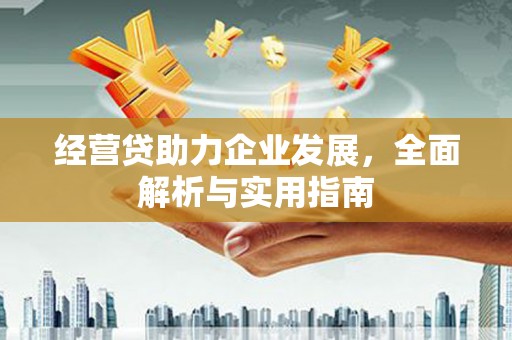 临西经营贷助力企业发展，全面解析与实用指南