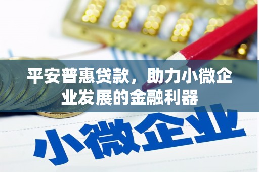 临西平安普惠贷款，助力小微企业发展的金融利器