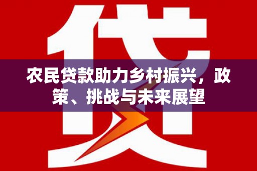 临西农民贷款助力乡村振兴，政策、挑战与未来展望