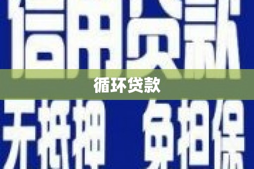 临西循环贷款
