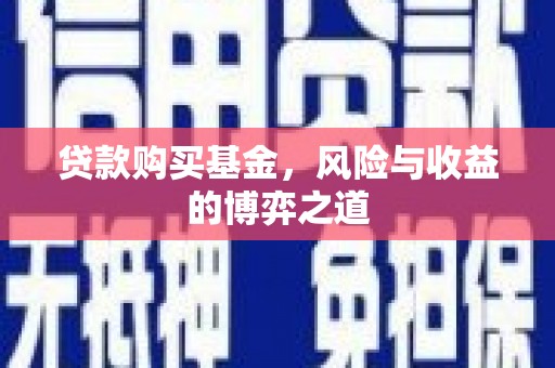 临西贷款购买基金，风险与收益的博弈之道