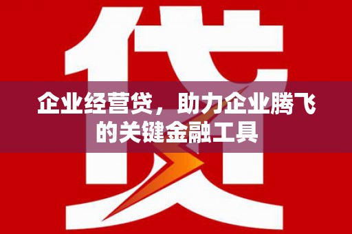 临西企业经营贷，助力企业腾飞的关键金融工具