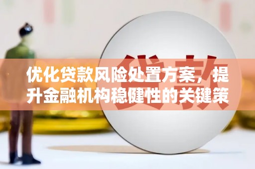 临西优化贷款风险处置方案，提升金融机构稳健性的关键策略