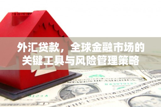 临西外汇贷款，全球金融市场的关键工具与风险管理策略