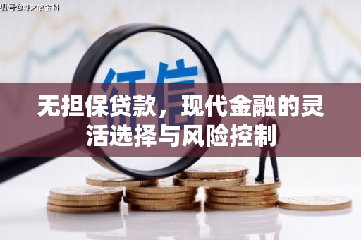 临西无担保贷款，现代金融的灵活选择与风险控制