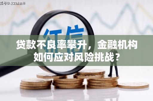 临西贷款不良率攀升，金融机构如何应对风险挑战？
