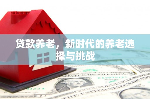 临西贷款养老，新时代的养老选择与挑战