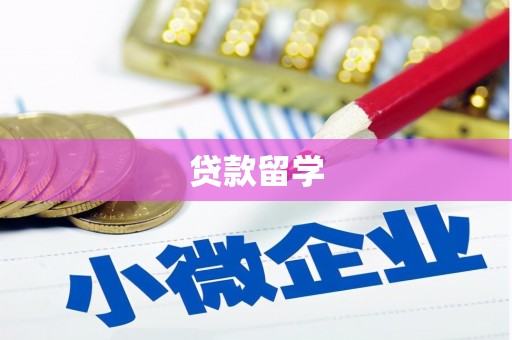 临西贷款留学