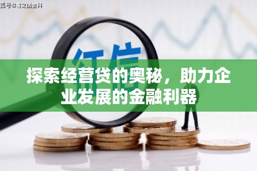 临西探索经营贷的奥秘，助力企业发展的金融利器