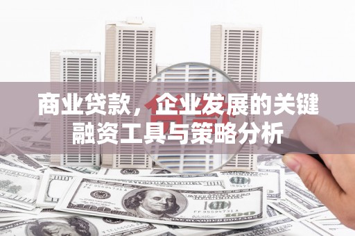 临西商业贷款，企业发展的关键融资工具与策略分析