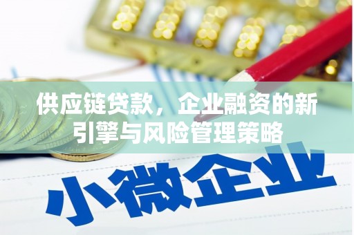 临西供应链贷款，企业融资的新引擎与风险管理策略