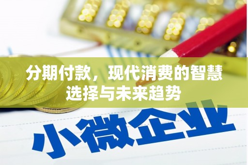 临西分期付款，现代消费的智慧选择与未来趋势