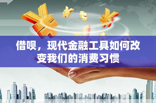 临西借呗，现代金融工具如何改变我们的消费习惯