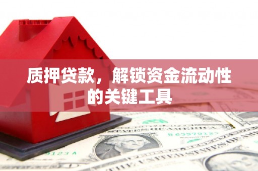 临西质押贷款，解锁资金流动性的关键工具
